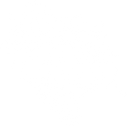 Insta Himachal