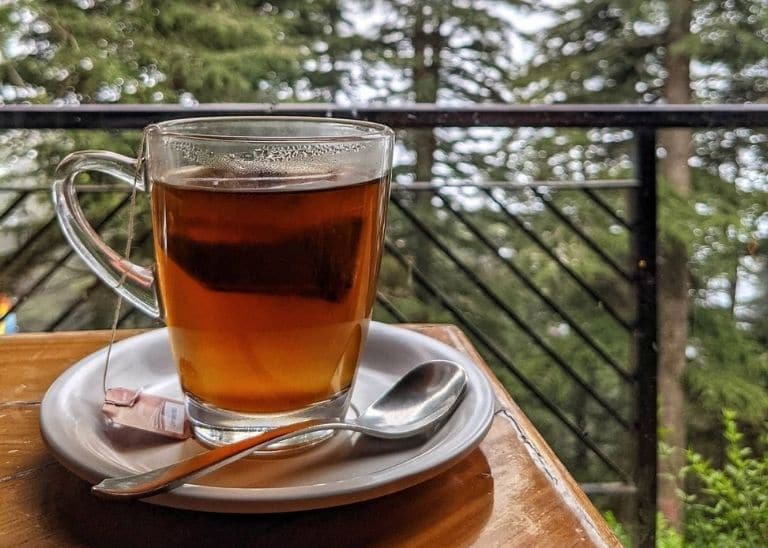 Cafe Under Tree Shimla Himachal Pradesh