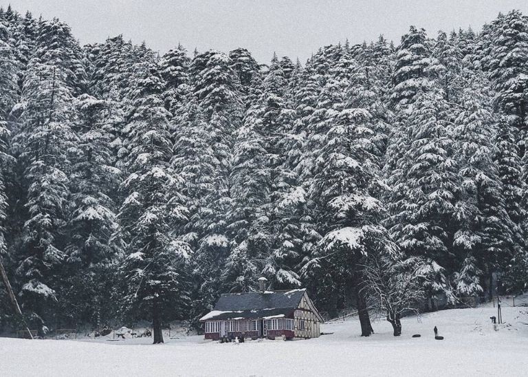 Khajjiar in Snowfall - The list of snowiest places near Chandigarh and Delhi