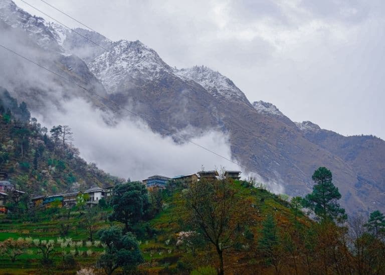 Sainj Valley in Winters - Himachal Pradesh 