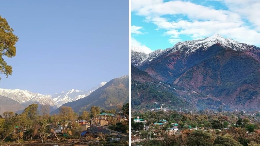Khaniyara - Dharamshala - Himachal Pradesh 