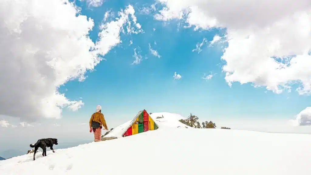 Triund in Snowfall - Best Treks in Himachal - Treks in Dharamshala