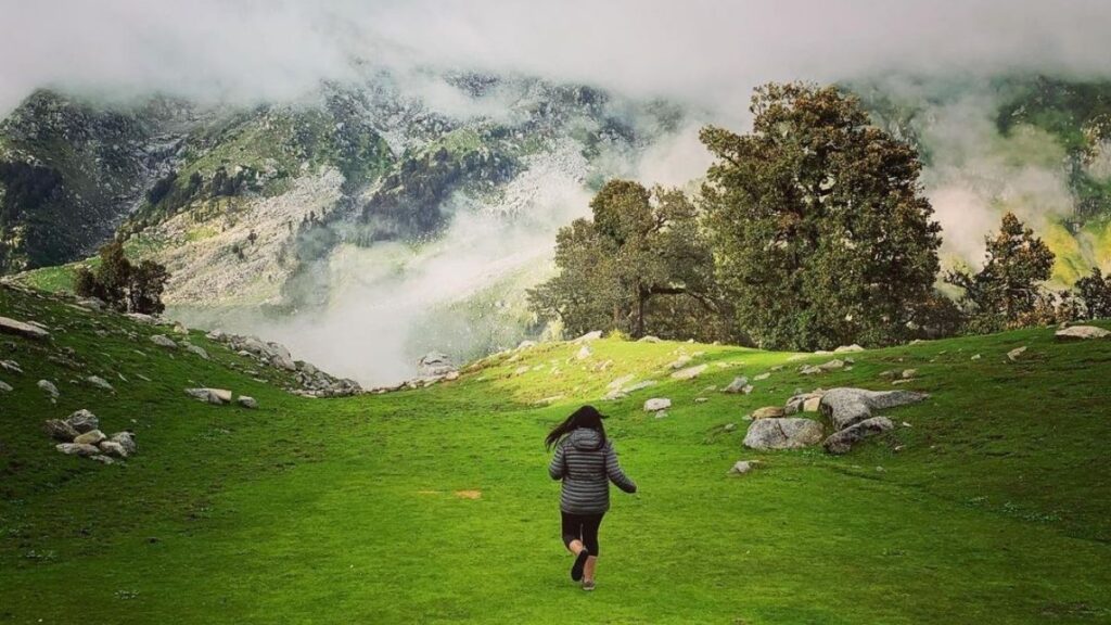 Snow Line Trek - Dharamshala - Treks in Himachal