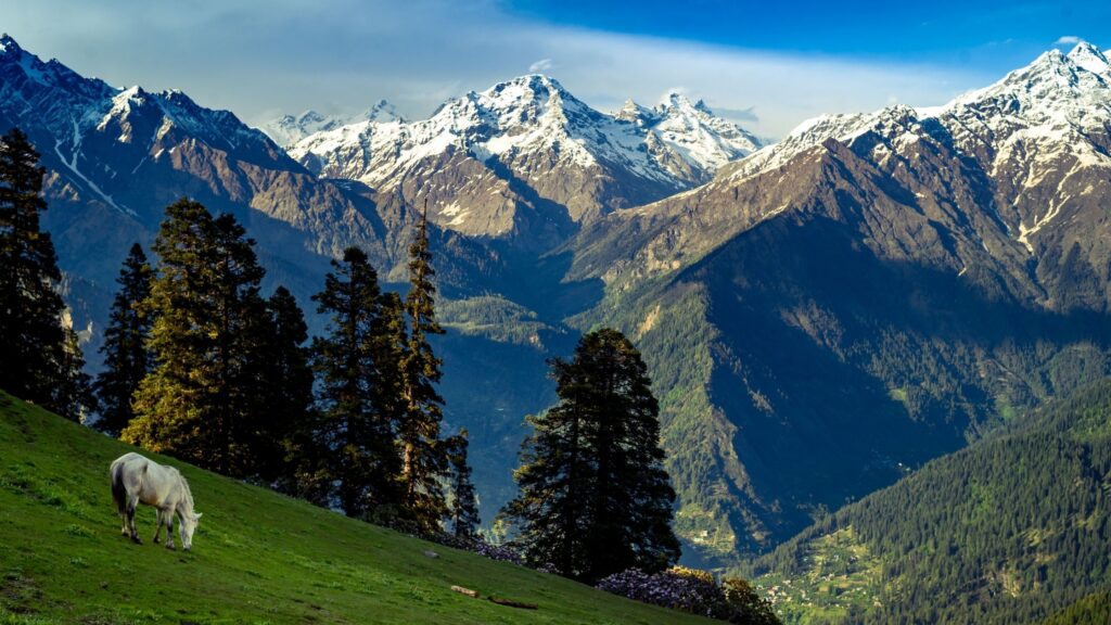 Sar Pass - Kullu, Himachal Pradesh
