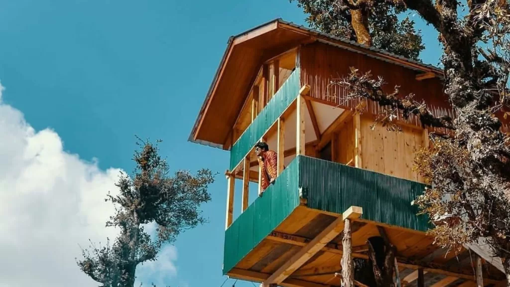 No Society Treehouse