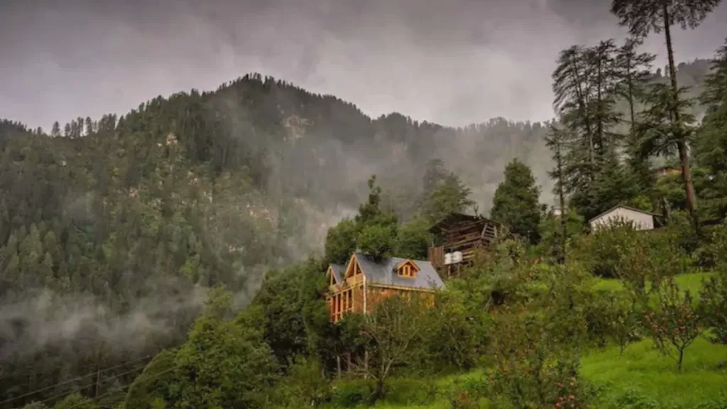 The Treehouse, Swastika Ashiyana - Blog Himachal Pradesh - Insta Himachal 
