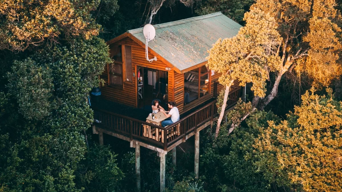 Here Are the Dreamiest Treehouses in Jibhi that Are Straight Out of Picture Postcards!
