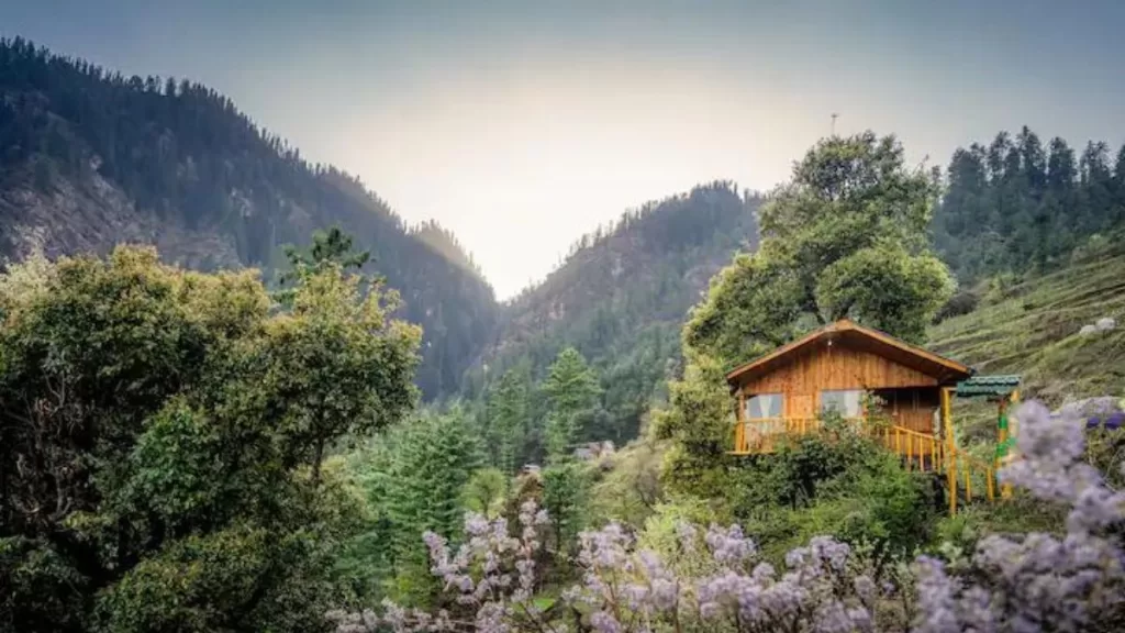 Whispering Pine Treehouse - Blog Himachal Pradesh - Insta Himachal