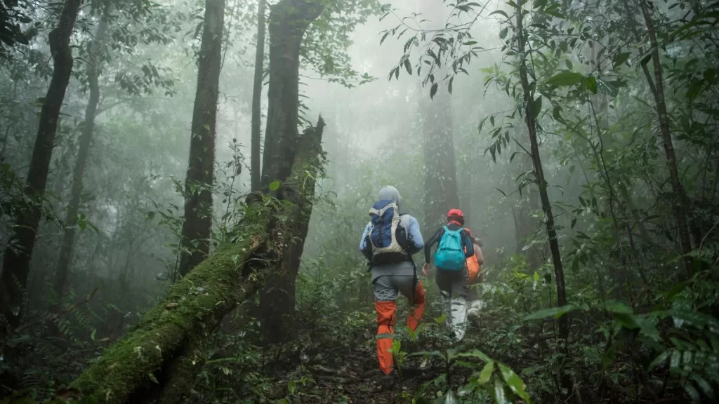 Nature Walks - Things to do - Blog Himachal Pradesh - Insta Himachal