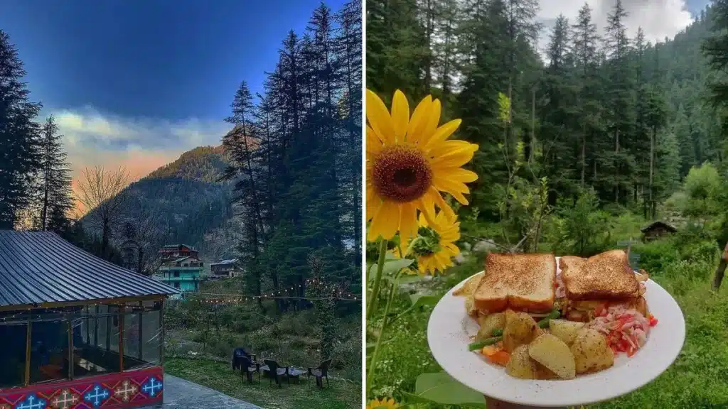 Cafe Old School Jibhi - Blog Himachal Pradesh - Insta Himachal