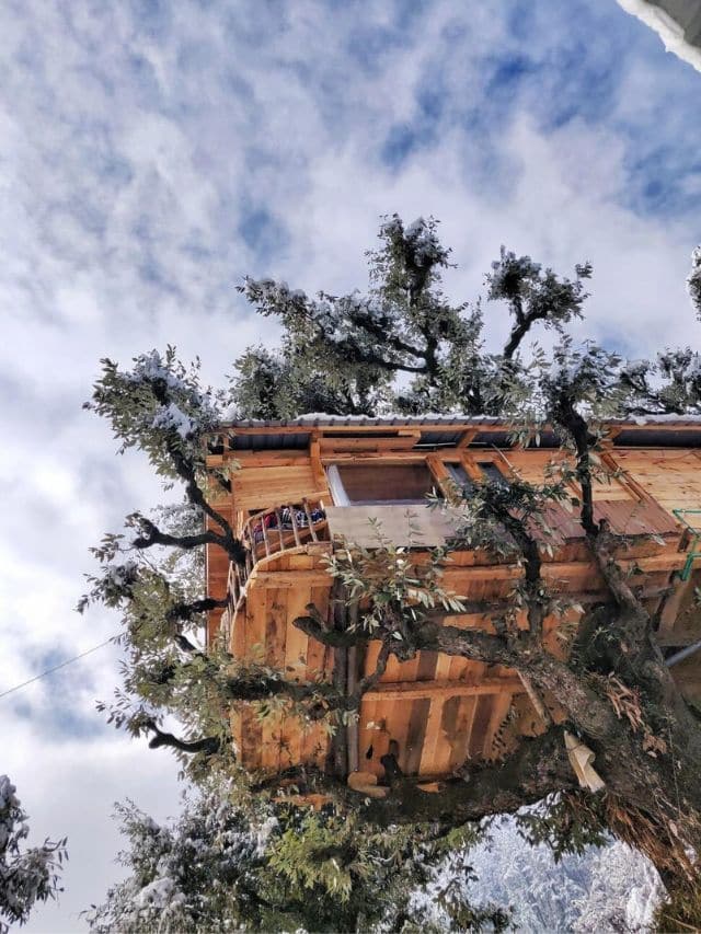 Dreamy Treehouses in Jibhi, Kullu for Getaway