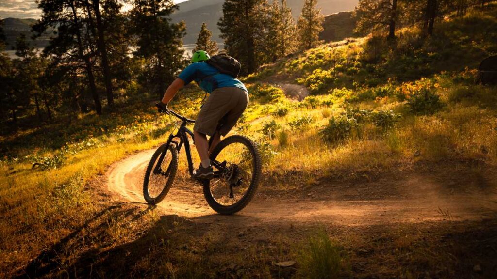 Mountain Biking in Himachal - Sports in Himachal