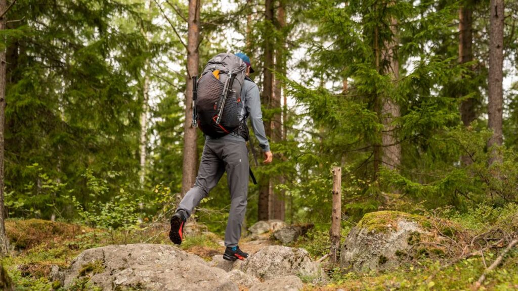 Treks and Trails in Jibhi, Kullu - Himachal Pradesh