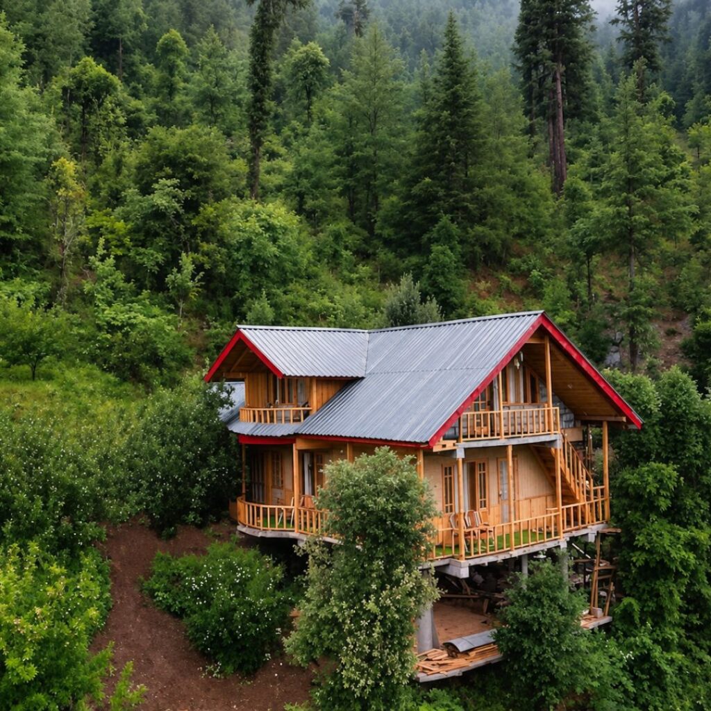 Jibhi