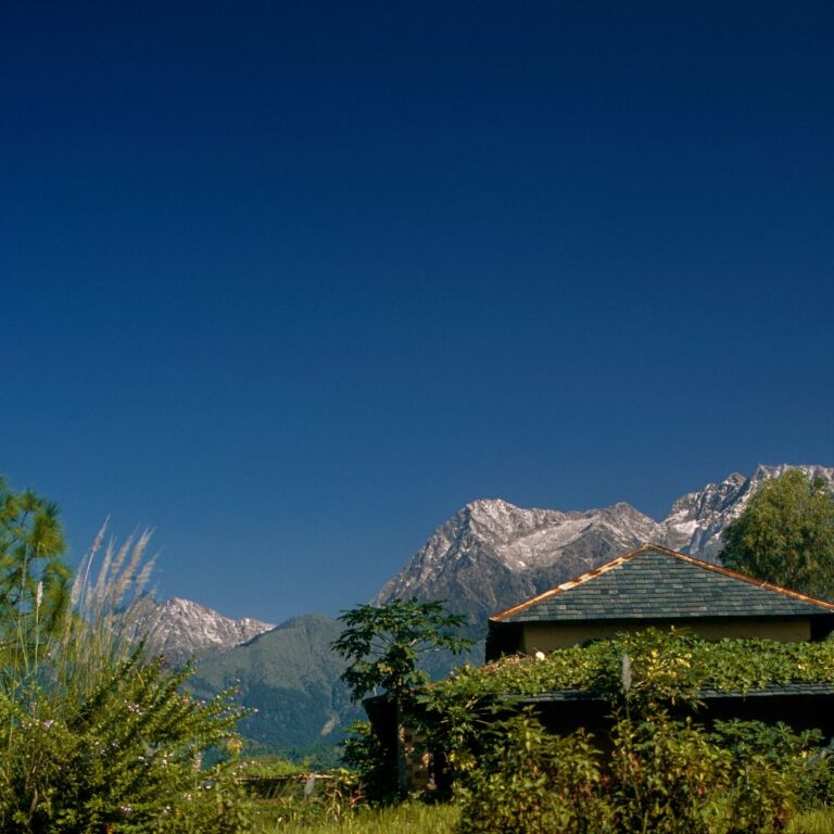 Palampur