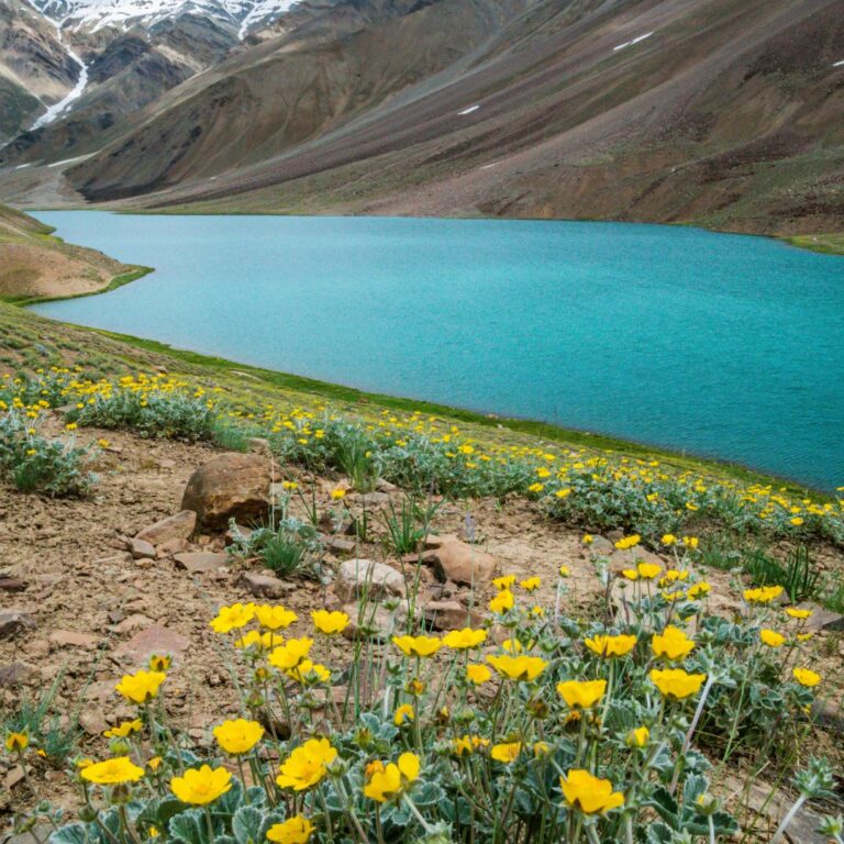 Kunzum Pass to Chandratal Trek