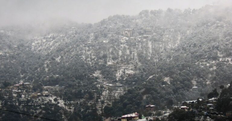 Kasauli
