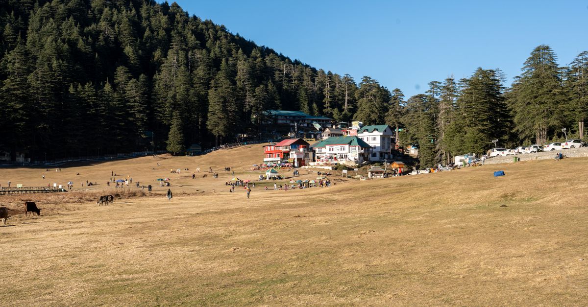 Khajjiar meadow and deodar forest in Himachal Pradesh